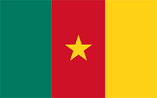 National Flag Cameroon