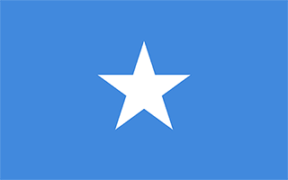 National Flag Somalia